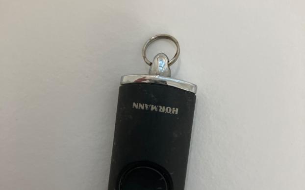 Garagentorchip