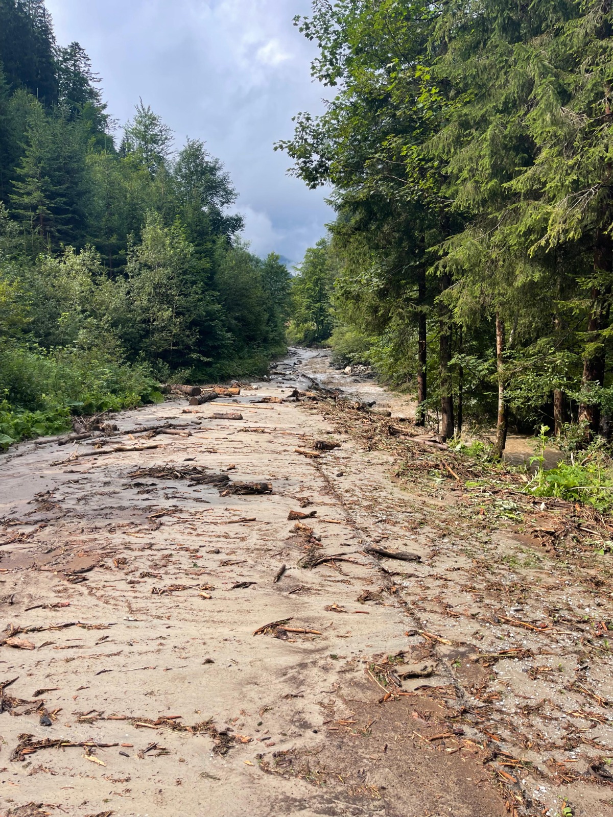 Mein Bürgermeister Wald am Schoberpaß
