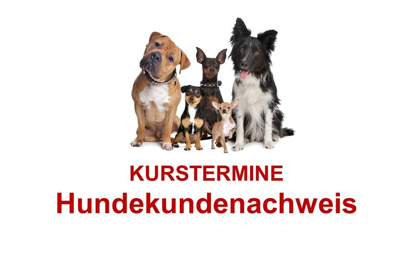 Rasse schweinehund 34 Deutsche