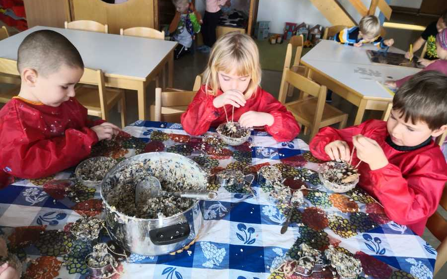 Der Kindergarten Sulz hilft gefiederten Siedlungsbewohner über den Winter