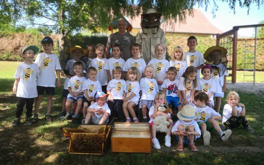 Alles rund um die Biene im Kindergarten Sulz