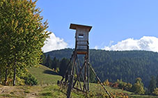Gemeinde Gaal - Jagdpachtauszahlung