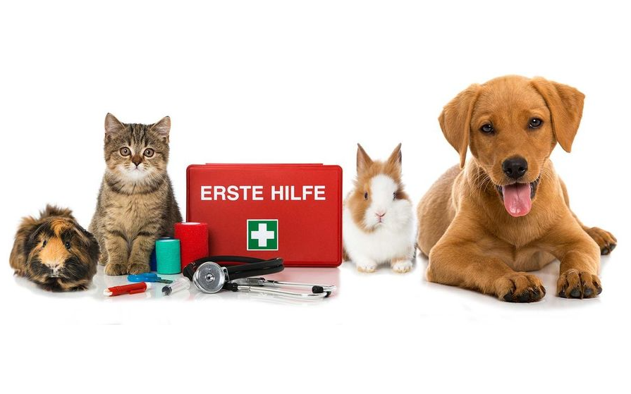 Tierärztlicher Notdienst - 2. Quartal 2023