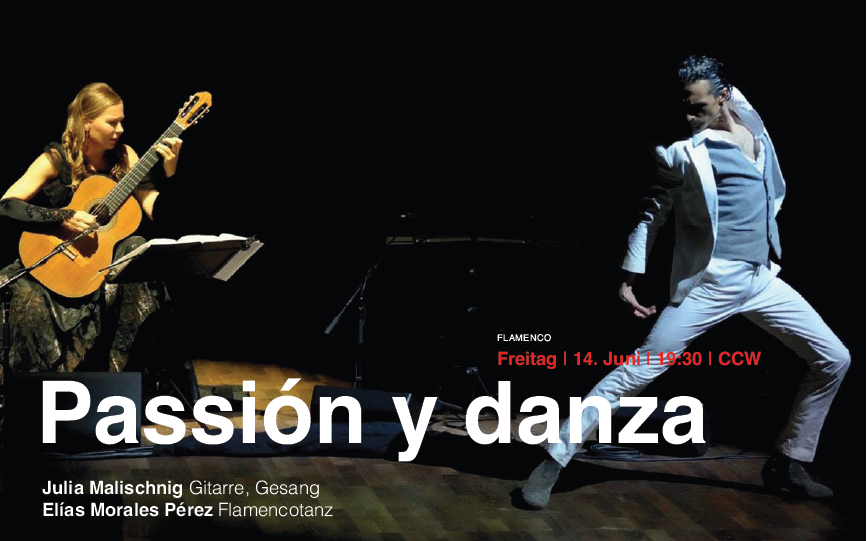 Passion y danza - Flamencogitarre & Flamencostartänzer