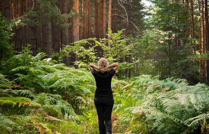 12.05.2025 Erwachen der Natur.Kraft.Plätze., Festhalle Irdning