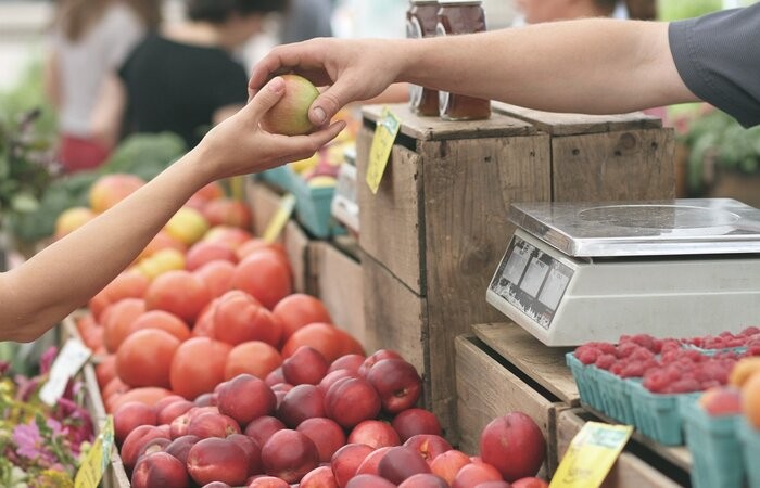 15.05.2025 Bauernmarkt in Irdning, Hauptplatz Irdning