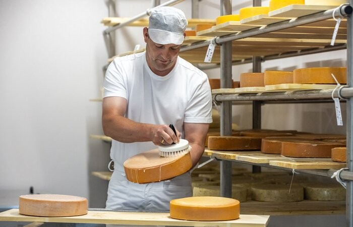 Von der Kuh zum Käse - Käsereiführung