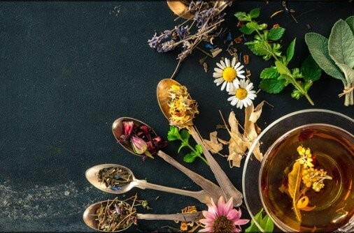 Workshop Salben rühren  Workshop Salben rühren