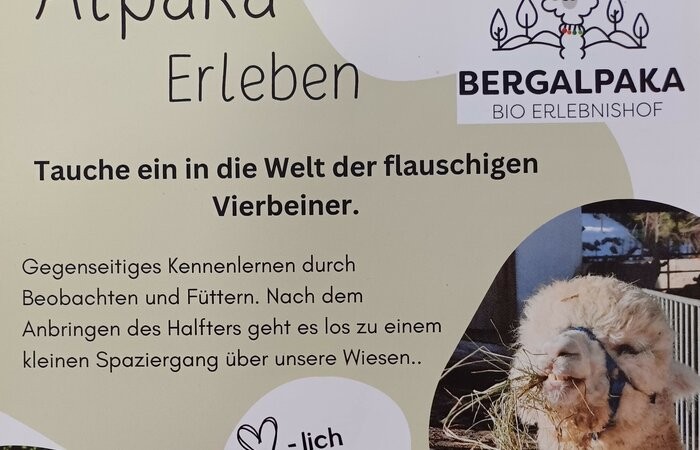 08.11.2025 Alpaka erleben in Donnersbach, Bio Erlebnishof Bochsbichler
