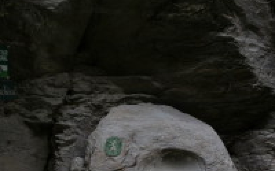 Naturdenkmäler Wald am Schoberpaß